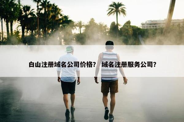白山注册域名公司价格？ 域名注册服务公司？-第1张图片-冷动云