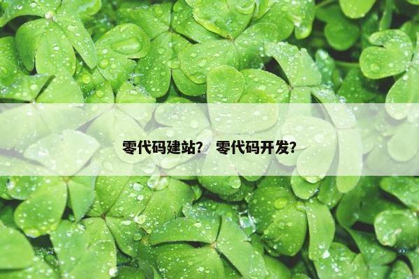 零代码建站？ 零代码开发？-第1张图片-冷动云