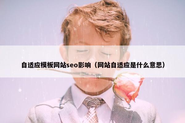 自适应模板网站seo影响（网站自适应是什么意思）-第1张图片-冷动云