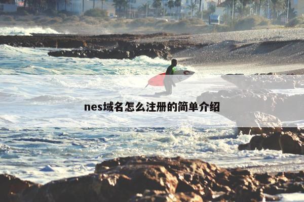 nes域名怎么注册的简单介绍-第1张图片-冷动云