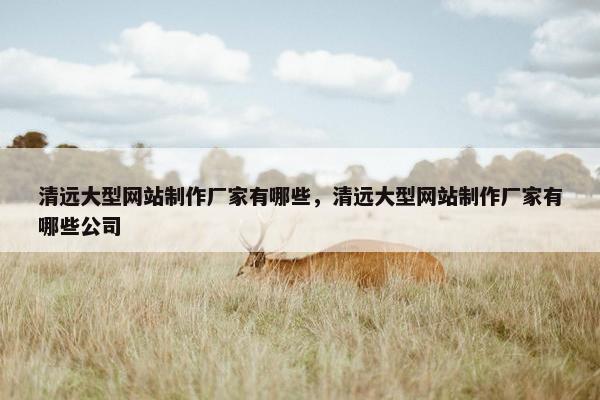 清远大型网站制作厂家有哪些，清远大型网站制作厂家有哪些公司-第1张图片-冷动云
