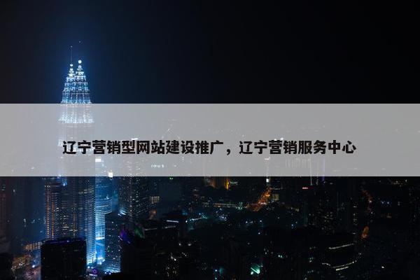 辽宁营销型网站建设推广，辽宁营销服务中心-第1张图片-冷动云