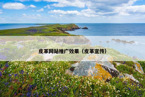 皮革网站推广效果（皮革宣传）-第1张图片-冷动云