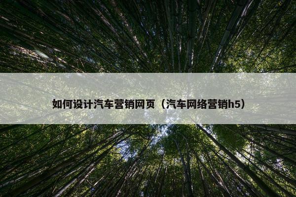 如何设计汽车营销网页（汽车网络营销h5）-第1张图片-冷动云