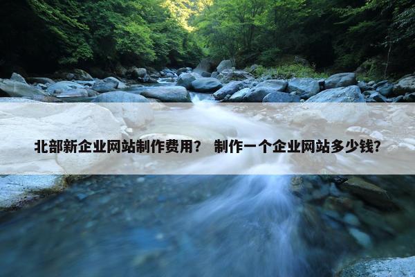 北部新企业网站制作费用？ 制作一个企业网站多少钱？-第1张图片-冷动云
