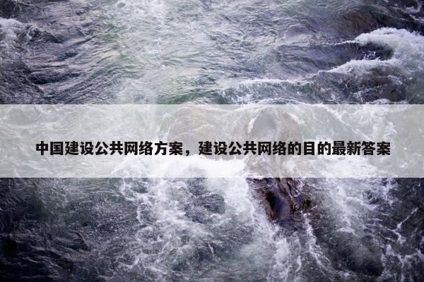 中国建设公共网络方案，建设公共网络的目的最新答案-第1张图片-冷动云