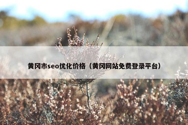 黄冈市seo优化价格（黄冈网站免费登录平台）-第1张图片-冷动云