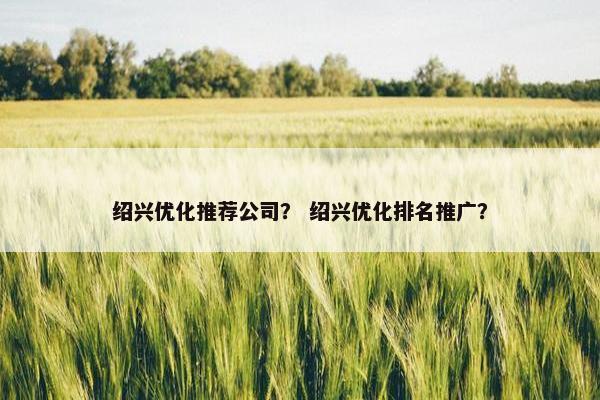 绍兴优化推荐公司？ 绍兴优化排名推广？-第1张图片-冷动云