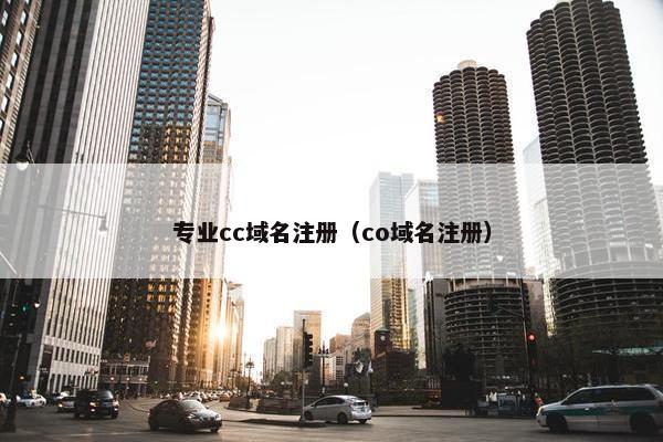 专业cc域名注册（co域名注册）-第1张图片-冷动云