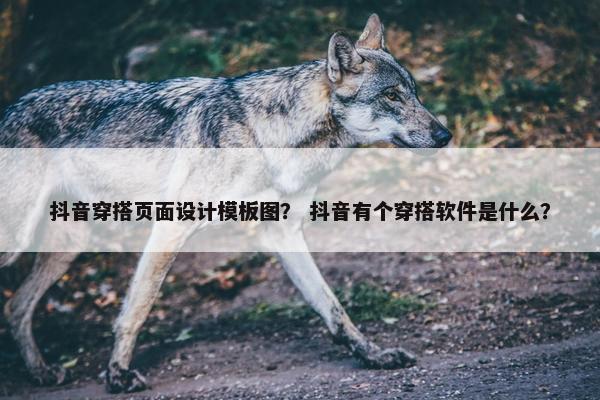 抖音穿搭页面设计模板图？ 抖音有个穿搭软件是什么？-第1张图片-冷动云