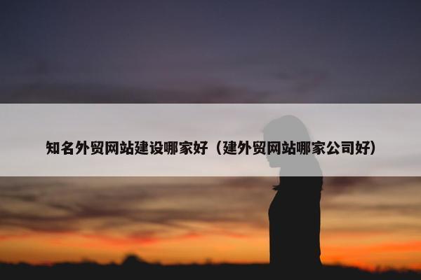 知名外贸网站建设哪家好（建外贸网站哪家公司好）-第1张图片-冷动云