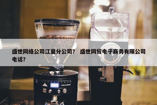 盛世网络公司江夏分公司？ 盛世网贸电子商务有限公司电话？-第1张图片-冷动云