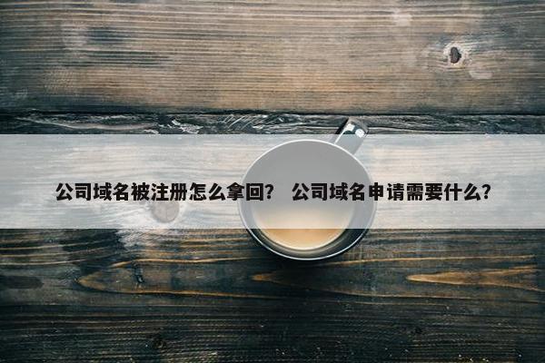 公司域名被注册怎么拿回？ 公司域名申请需要什么？-第1张图片-冷动云