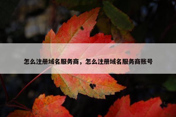 怎么注册域名服务商，怎么注册域名服务商账号-第1张图片-冷动云