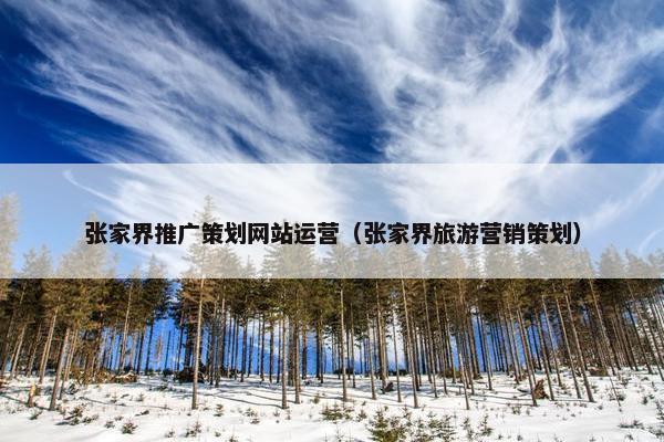 张家界推广策划网站运营（张家界旅游营销策划）-第1张图片-冷动云
