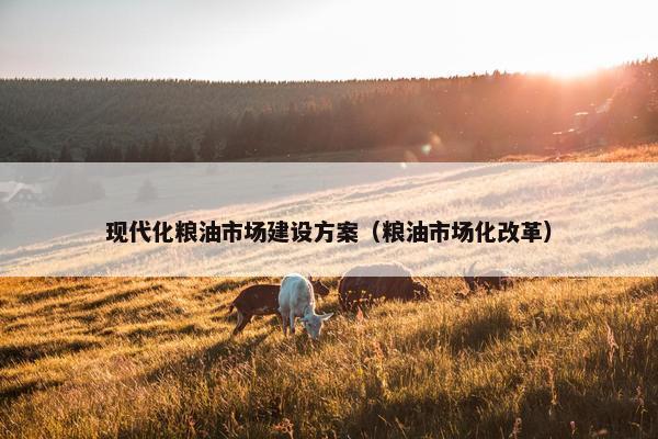 现代化粮油市场建设方案（粮油市场化改革）-第1张图片-冷动云