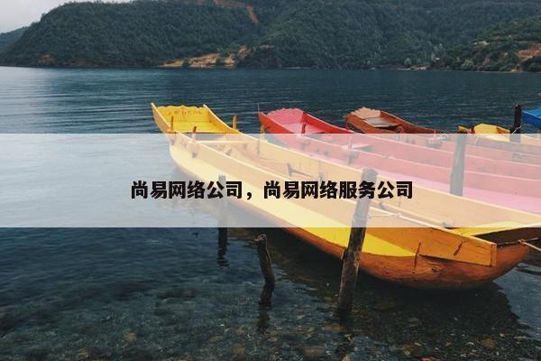 尚易网络公司，尚易网络服务公司-第1张图片-冷动云