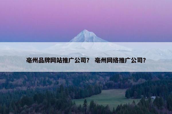 亳州品牌网站推广公司？ 亳州网络推广公司？-第1张图片-冷动云