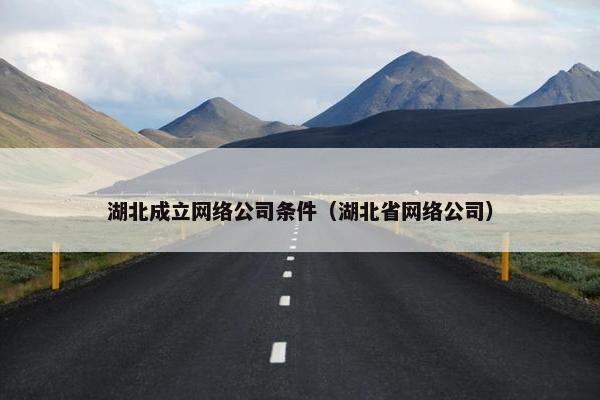 湖北成立网络公司条件（湖北省网络公司）-第1张图片-冷动云