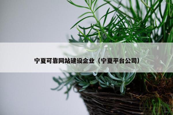 宁夏可靠网站建设企业（宁夏平台公司）-第1张图片-冷动云