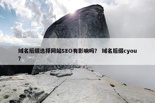 域名后缀选择网站SEO有影响吗？ 域名后缀cyou？-第1张图片-冷动云