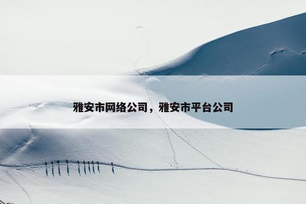 雅安市网络公司，雅安市平台公司-第1张图片-冷动云