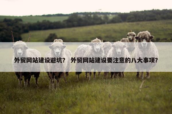 外贸网站建设避坑？ 外贸网站建设要注意的八大事项？-第1张图片-冷动云