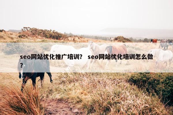 seo网站优化推广培训？ seo网站优化培训怎么做？-第1张图片-冷动云