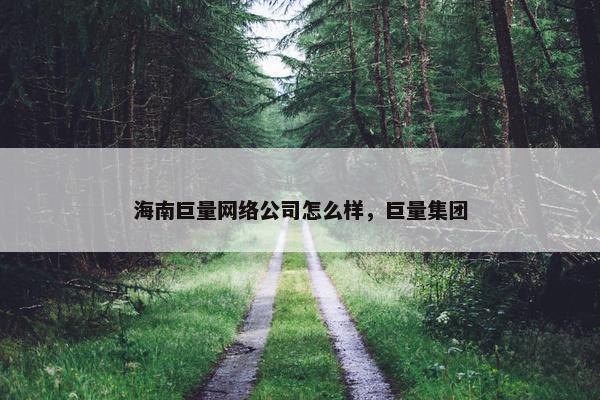海南巨量网络公司怎么样，巨量集团-第1张图片-冷动云