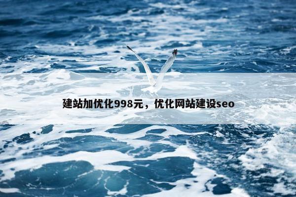 建站加优化998元，优化网站建设seo-第1张图片-冷动云