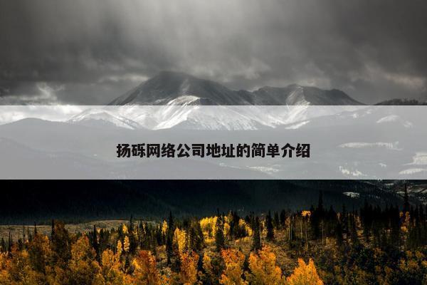 扬砾网络公司地址的简单介绍-第1张图片-冷动云