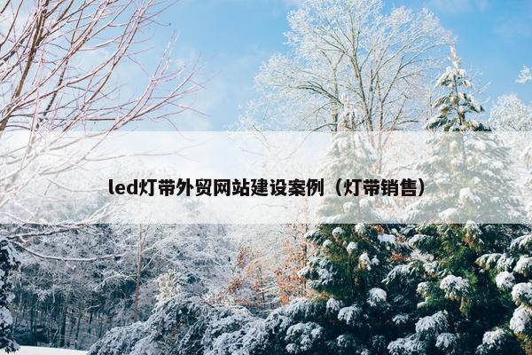 led灯带外贸网站建设案例（灯带销售）-第1张图片-冷动云