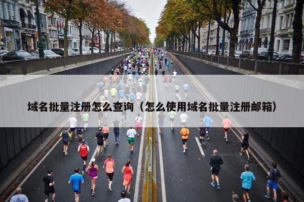域名批量注册怎么查询（怎么使用域名批量注册邮箱）-第1张图片-冷动云