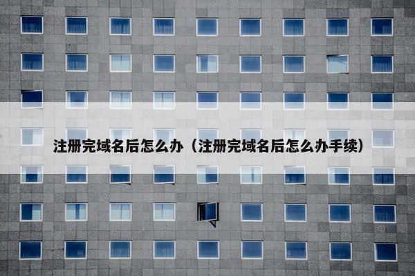 注册完域名后怎么办（注册完域名后怎么办手续）-第1张图片-冷动云