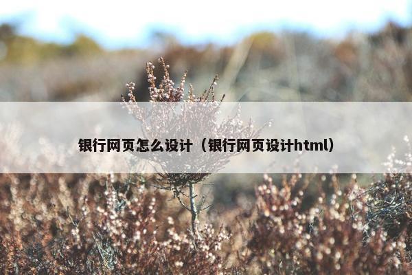 银行网页怎么设计（银行网页设计html）-第1张图片-冷动云