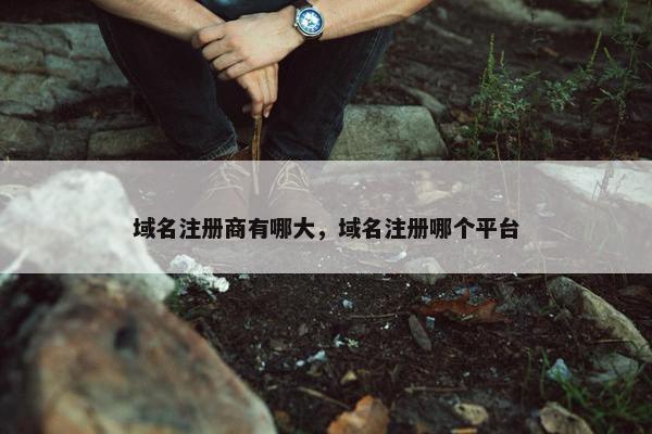 域名注册商有哪大，域名注册哪个平台-第1张图片-冷动云