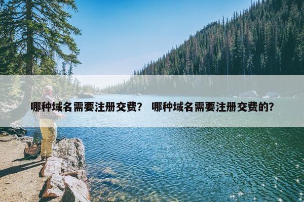哪种域名需要注册交费？ 哪种域名需要注册交费的？-第1张图片-冷动云