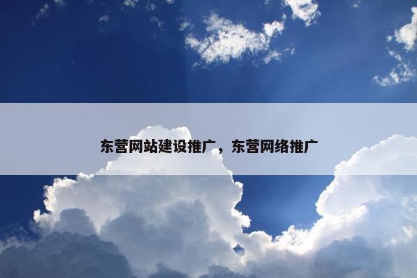东营网站建设推广，东营网络推广-第1张图片-冷动云