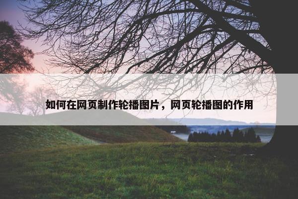 如何在网页制作轮播图片，网页轮播图的作用-第1张图片-冷动云