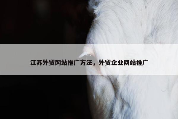江苏外贸网站推广方法，外贸企业网站推广-第1张图片-冷动云