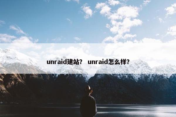 unraid建站？ unraid怎么样？-第1张图片-冷动云