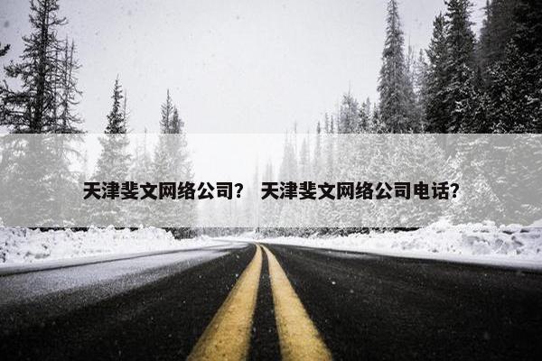 天津斐文网络公司？ 天津斐文网络公司电话？-第1张图片-冷动云