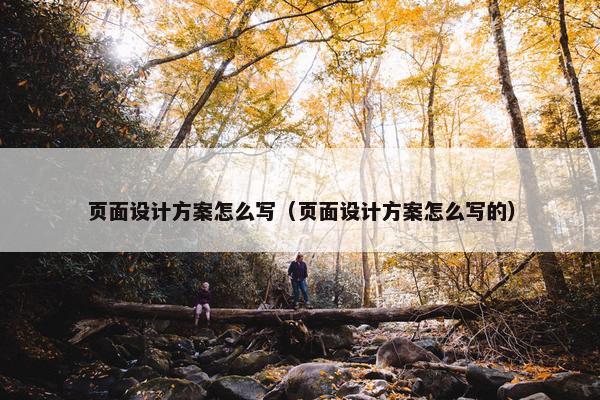 页面设计方案怎么写（页面设计方案怎么写的）-第1张图片-冷动云