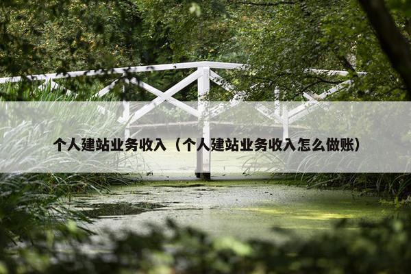 个人建站业务收入（个人建站业务收入怎么做账）-第1张图片-冷动云