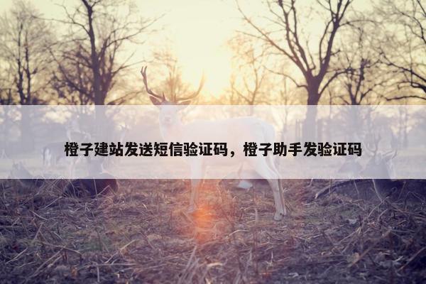 橙子建站发送短信验证码，橙子助手发验证码-第1张图片-冷动云