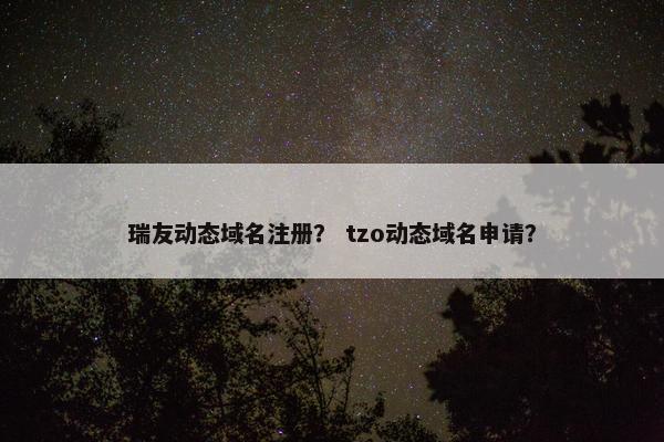 瑞友动态域名注册？ tzo动态域名申请？-第1张图片-冷动云