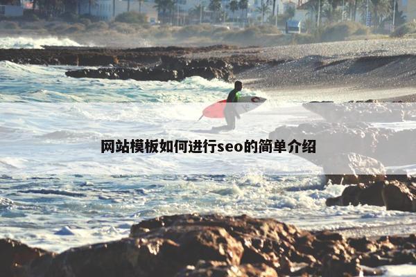 网站模板如何进行seo的简单介绍-第1张图片-冷动云