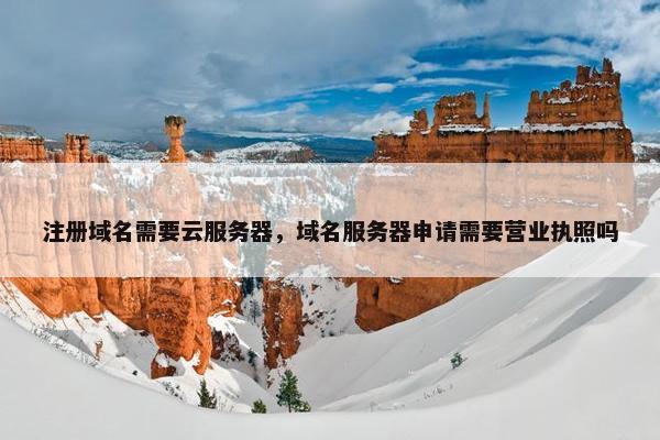 注册域名需要云服务器，域名服务器申请需要营业执照吗-第1张图片-冷动云