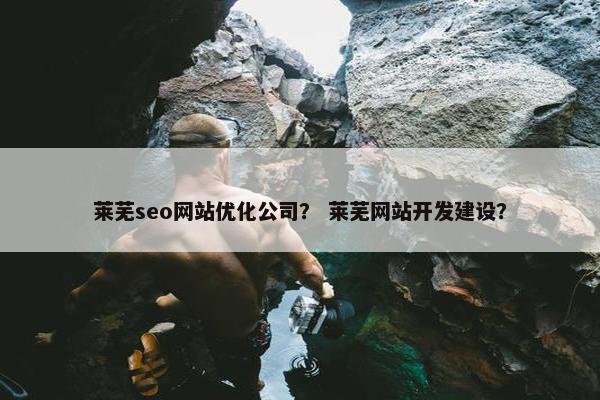 莱芜seo网站优化公司？ 莱芜网站开发建设？-第1张图片-冷动云
