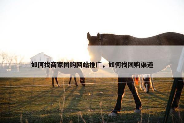 如何找商家团购网站推广，如何找团购渠道-第1张图片-冷动云